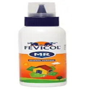 Fevicol 100g